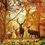 Image result for Hunting Wallpaper iPhone