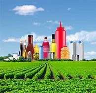Image result for Factories in Fields