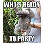 Image result for Sloth Hump Day Meme