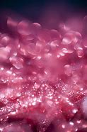 Image result for Pink Glitter Ombre Background