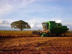 Image result for agroindustriao