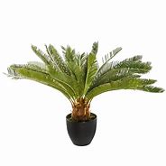 Image result for Artificial Pineapple Plant