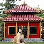 Image result for Awesome Dog Houses