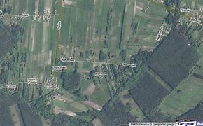 Image result for cynków