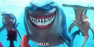 Image result for Finding Nemo Shark Meme