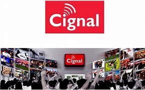 Image result for Cignal TV Logo