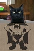 Image result for Batman Cat PFP