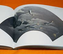 Image result for Japanese Art Books