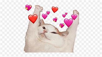 Image result for White Cat Heart Emoji Meme