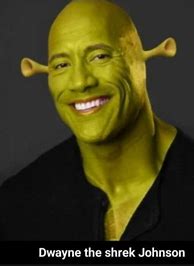 Image result for Random Shrek Meme