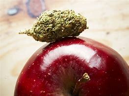 Image result for Angry Apple Fried Weed