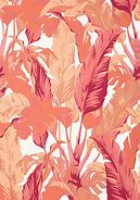 Image result for Pink Coral Desktop Wallpapers