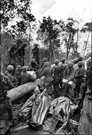 Image result for Color Vietnam War Dead