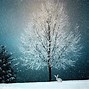 Image result for Winter Snow Trees