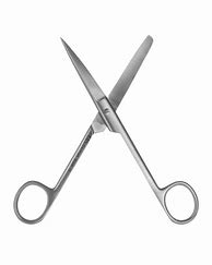 Image result for Sharp Blunt Scissors