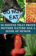Image result for Memes Beauty Nature