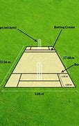 Image result for Cricket Field with Details