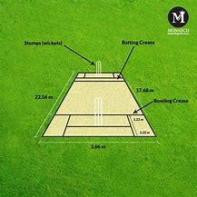Image result for Simple Cricket Layout