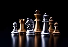Image result for Tan Chess Palyer