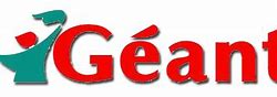 Image result for Geant UAE Logo