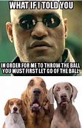 Image result for Someone Puts an Address On the Ball Meme