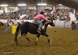 Image result for Wild Horse Racing