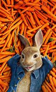 Image result for Funny Easter Bunnies