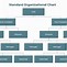 Image result for Business Org Chart Examples