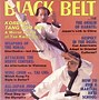 Image result for Kung Fu Belt Ranks