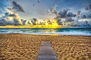 Image result for Beautiful Sunset Beach Florida