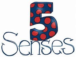 Image result for Apple 5 Senses Door Ideas