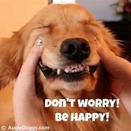 Image result for Don't Worry Be Happy Dog
