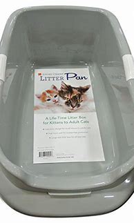Image result for Senior Cat Litter Box