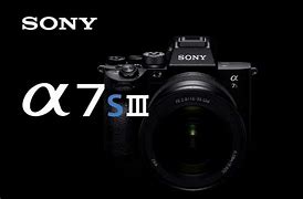 Image result for Sony Alpha 7s Mark III