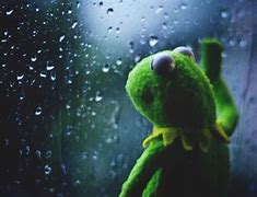 Image result for Kermit the Frog Looking Out Window Meme