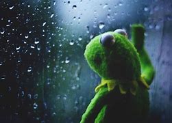 Image result for Kermit Looking Outside Window Meme