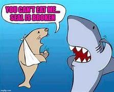 Image result for Chonky Seal Meme