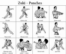 Image result for Martial Arts Basics