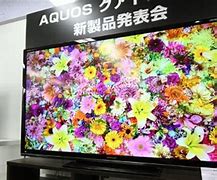 Image result for Largest Flat Screen Television Images