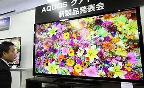 Image result for Biggest Flat Screen TV Made