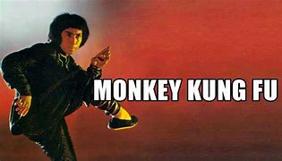 Image result for Monkey Kung Fu