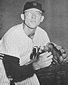 Image result for Bob Allison Autographed Baseball