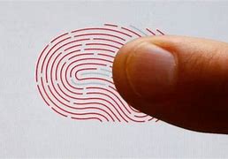 Image result for One Plus 6 Fingerprint