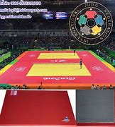 Image result for Judo Mats