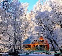 Image result for Beautiful Winter Woods