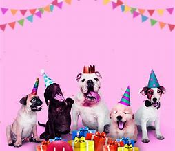 Image result for happy birthday dogs gifs