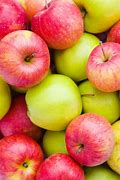 Image result for Common Apple's
