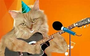 Image result for Cats Cute Funny Happy Birthday