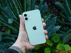 Image result for iPhone 12 Mini Clear with Green