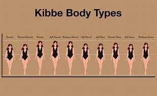 Image result for Fighting Body Types